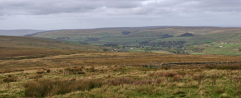 Nentdale